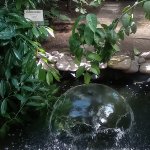 phoca_thumb_m_tropic zajici 44 Fotogalerie